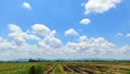 Beautiful blue sky background and beautiful white cloudy sky over the harvested rice fields. Summer sky bright and fresh. Royalty Free Stock Photo