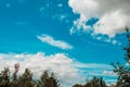 Beautiful blue sky with Cirrus Cumulus clouds. Sky background in Sunny weather against the tops of green trees. Royalty Free Stock Photo