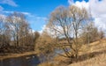 Beautiful blue sky with clouds and a large spreading tree over the river. Rural river in spring Royalty Free Stock Photo