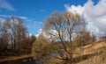 Beautiful blue sky with clouds and a large spreading tree over the river. Rural river in spring Royalty Free Stock Photo