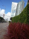 The beautiful blue sky and a few white clouds on top of the silver building also adorn the flowers below Royalty Free Stock Photo