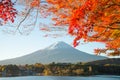 Beautiful sky and autumn and Fujisan mountain, Japan