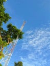 Beautiful blue sky, Green trees, tower Royalty Free Stock Photo