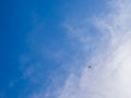 Beautiful blue sky with little silhouette airplane flying. Royalty Free Stock Photo