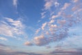 Beautiful blue sky with many little small fluffy white clouds background texture Royalty Free Stock Photo