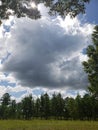 Beautiful blue sky and puffy clouds Royalty Free Stock Photo