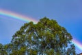 Beautiful blue sky with rainbow