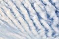 Beautiful blue sky with unusual white Altocumulus undulatus clouds, extraordinary cloud formation Royalty Free Stock Photo