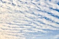 Beautiful blue sky with unusual white Altocumulus undulatus clouds, extraordinary cloud formation Royalty Free Stock Photo