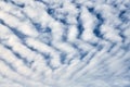 Beautiful blue sky with unusual white Altocumulus undulatus clouds, extraordinary cloud formation Royalty Free Stock Photo