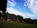 Beautiful blue sky view and around the trees