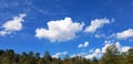 Beautiful blue sky with white cloud and green tree, forest or jungle with cop space on above for add text. Royalty Free Stock Photo