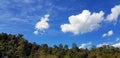 Beautiful blue sky with white cloud and green tree, forest or jungle with cop space on above for add text. Beauty of nature Royalty Free Stock Photo