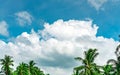 Beautiful blue sky and white cumulus clouds against coconut tree in happy and chill out day. While away time on tropical summer Royalty Free Stock Photo