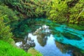 Te Waihou Blue Spring, Waikato, New Zealand