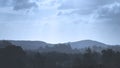 Beautiful blue toned morning landscape of trees on ridgeline