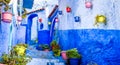 Beautiful blue walls with bright doors and colorful flower pots on the walls on a sunny day, Chefchaouen city medina in Morocco. Royalty Free Stock Photo