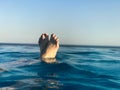 Beautiful blue wet water with waves and female feet, feet with a red pedicure on the background of the horizon Royalty Free Stock Photo