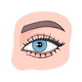 Beautiful blue woman eye with long lashes. Vector Illustration for printing, backgrounds, covers and packaging. Image Royalty Free Stock Photo