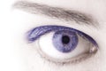 Beautiful Blue woman eye macro shot Royalty Free Stock Photo