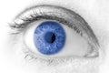 Beautiful Blue woman eye macro shot Royalty Free Stock Photo