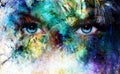 Beautiful blue women eyes beaming, color desert crackle effect, painting collage, artist makeup Royalty Free Stock Photo