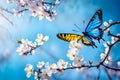 Beautiful blue yellow butterfly in flight and branch of flowering apricot tree in spring generated AI