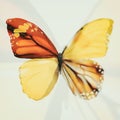 beautiful blue and yellow butterfly isolated on white background Royalty Free Stock Photo