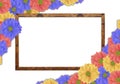 Beautiful blue, yellow and pink fresh daisy flower on picture wooden frame Royalty Free Stock Photo