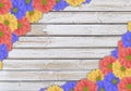 Beautiful blue, yellow and pink fresh daisy flower on wooden background Royalty Free Stock Photo