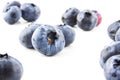 Beautiful blueberries closeup