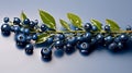 Beautiful blueberries with dew droplets