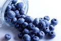 Beautiful blueberries in a glass jar