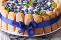 Beautiful blueberry cake charlotte on a plate macro . horizontal
