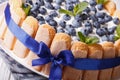 Beautiful blueberry cake with cookies Savoiardi macro. horizonta