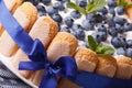 Beautiful blueberry cake with Savoiardi macro. horizontal