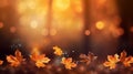 Beautiful blurred autumn background with yellowgold leaves in 1690447927291 2 Royalty Free Stock Photo