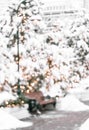 Beautiful blurred image of fir tree decorations and lights of traditional Christmas fair. Holidays concept. Royalty Free Stock Photo