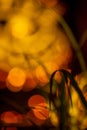 Beautiful blurred light bokhe for background material Royalty Free Stock Photo