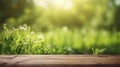 Beautiful blurred natural background with floor of dark brown wooden planks and young green juicy grass in sun with bokeh effect. Royalty Free Stock Photo