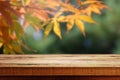 Beautiful blurred nature autumn forest background and empty wooden table.