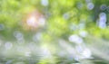 Beautiful blurred nature background, creek, trees,morning sun, large bubble bokeh balls. Free copy space.