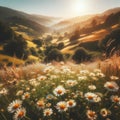 Beautiful blurred spring background nature with blooming glade chamomile, trees and blue sky on a sunny day. Royalty Free Stock Photo