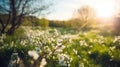 Beautiful blurred spring background nature with blooming glade, trees and blue sky on a sunny day Royalty Free Stock Photo