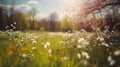 Beautiful blurred spring background nature with blooming glade, trees and blue sky on a sunny day. Royalty Free Stock Photo