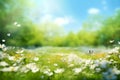 Beautiful blurred spring background nature with blooming glade, trees and blue sky on a sunny day. Royalty Free Stock Photo