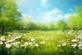 Beautiful blurred spring background nature with blooming glade, trees and blue sky on a sunny day. Royalty Free Stock Photo