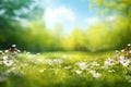 Beautiful blurred spring background nature with blooming glade, trees and blue sky on a sunny day. Royalty Free Stock Photo