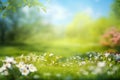 Beautiful blurred spring background nature with blooming glade, trees and blue sky on a sunny day. Royalty Free Stock Photo