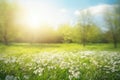 Beautiful blurred spring floral background nature with blooming glade of daisies and blue sky on sunny day. Generative AI.